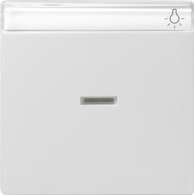 GIRA 067027 Wippe Kontrollfenster+BSF System 55 Reinweiß seidenmatt