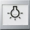 GIRA 021626 Wippe+BSF+Symbol Licht groß tastbar System 55 Farbe Alu