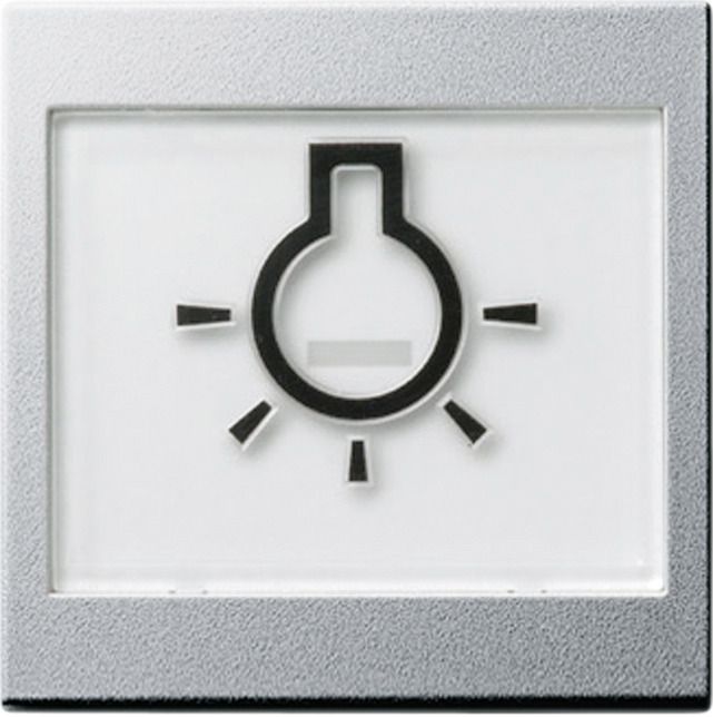 GIRA 021626 Wippe+BSF+Symbol Licht groß tastbar System 55 Farbe Alu
