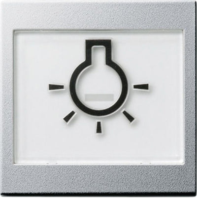 GIRA 021626 Wippe+BSF+Symbol Licht groß tastbar System 55 Farbe Alu
