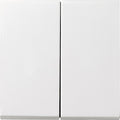 GIRA 026627 Wippe 2fach+Set IP44 Standard 55,E2 Reinweiß seidenmatt