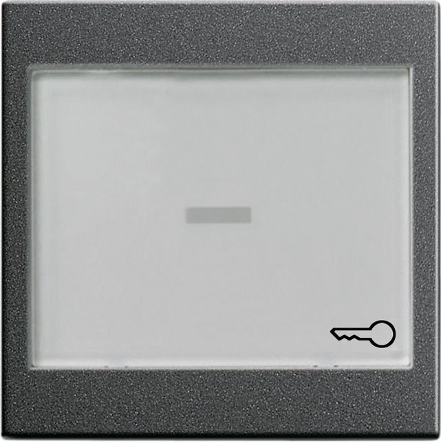 GIRA 067628 Wippe BSF groß System 55 Anthrazit