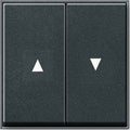 GIRA 029467 Wippe 2fach Pfeil TX_44 WG UP Anthrazit