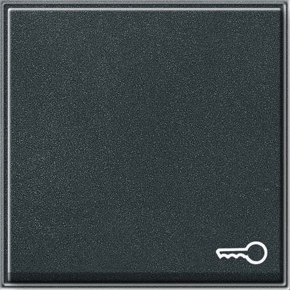 GIRA 028767 Wippe Symbol Tür TX_44 WG UP Anthrazit