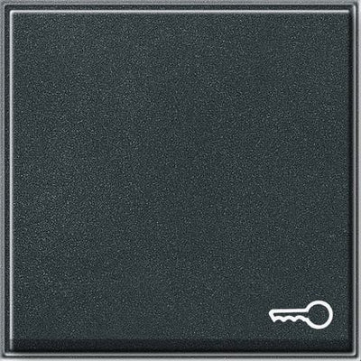 GIRA 028767 Wippe Symbol Tür TX_44 WG UP Anthrazit