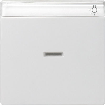 GIRA 067003 Wippe Kontrollfenster+BSF System 55 Reinweiß glänzend
