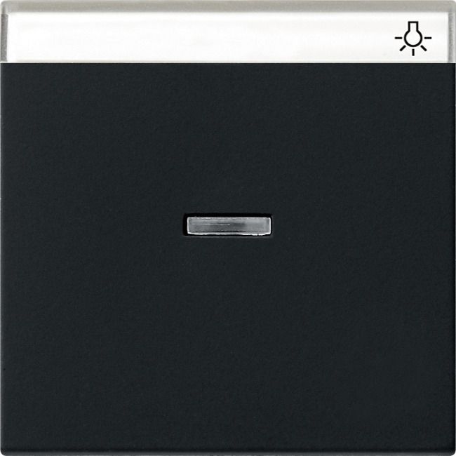 GIRA 0670005 Wippe Kontrollfenster+BSF System 55 Schwarz matt (lackiert)