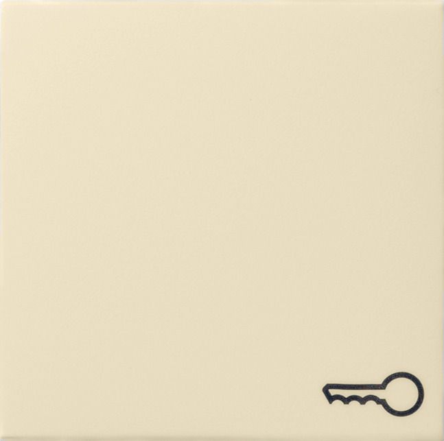 GIRA 028701 Wippe Symbol Tür System 55 Cremeweiß glänzend