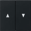 GIRA 0294005 Wippe 2fach Pfeil System 55 Schwarz matt (lackiert)