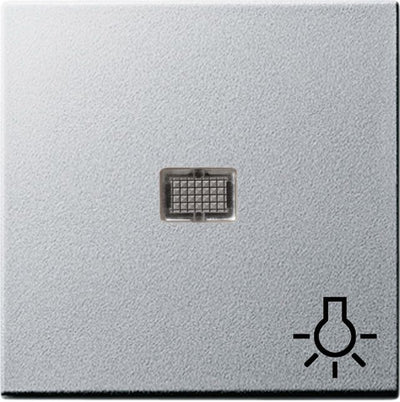GIRA 063026 Wippe Kontrollfenster groß+ Symbol Licht System 55 Farbe Alu