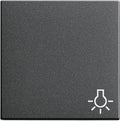 GIRA 028528 Wippe Symbol Licht System 55 Anthrazit