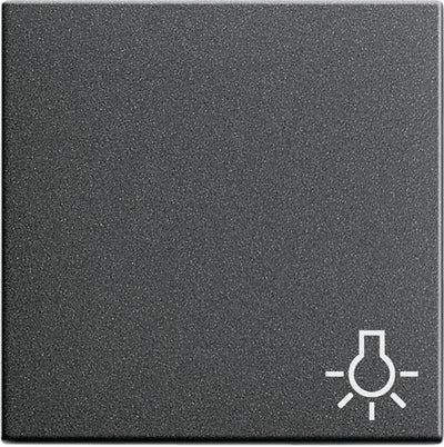 GIRA 028528 Wippe Symbol Licht System 55 Anthrazit