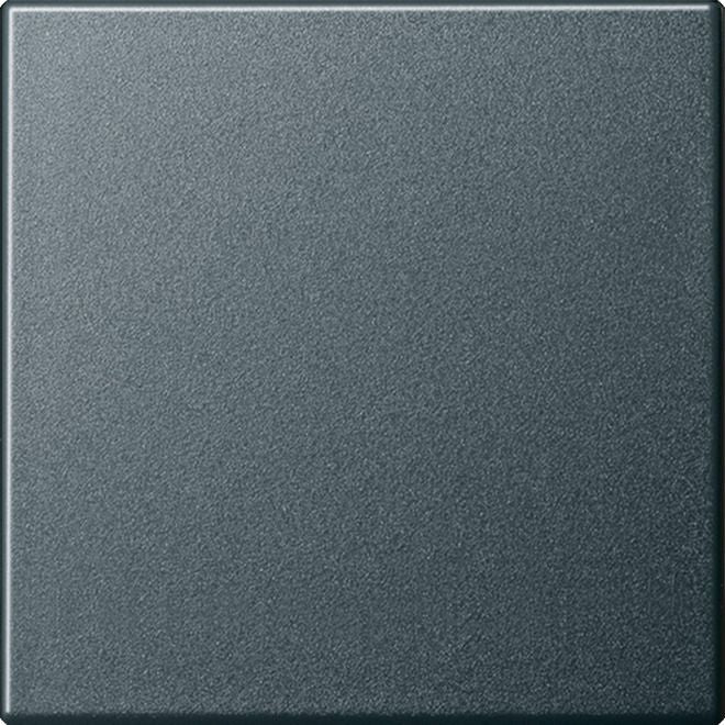 GIRA 029628 Wippe System 55 Anthrazit System 55