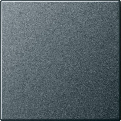 GIRA 029628 Wippe System 55 Anthrazit System 55
