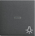GIRA 067428 Wippe Kontrollfenster+Symbol Licht System 55 Anthrazit
