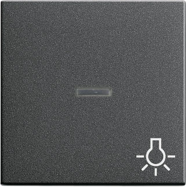 GIRA 067428 Wippe Kontrollfenster+Symbol Licht System 55 Anthrazit