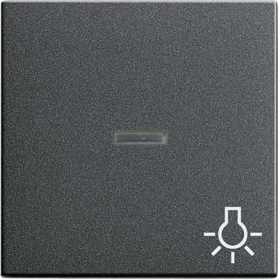 GIRA 067428 Wippe Kontrollfenster+Symbol Licht System 55 Anthrazit