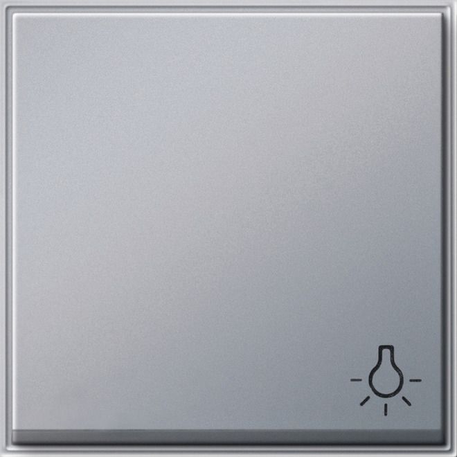 GIRA 028565 Wippe Symbol Licht TX_44 WG UP Farbe Alu