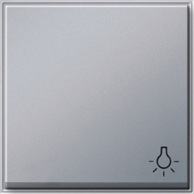 GIRA 028565 Wippe Symbol Licht TX_44 WG UP Farbe Alu