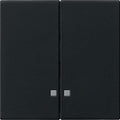 GIRA 0631005 Wippe 2fach Kontrollfenster System 55 Schwarz matt (lackiert)
