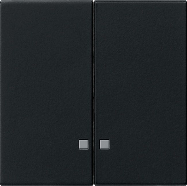 GIRA 0631005 Wippe 2fach Kontrollfenster System 55 Schwarz matt (lackiert)
