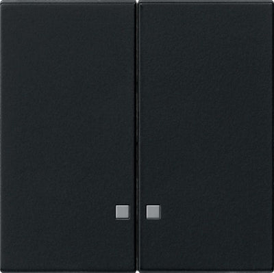 GIRA 0631005 Wippe 2fach Kontrollfenster System 55 Schwarz matt (lackiert)