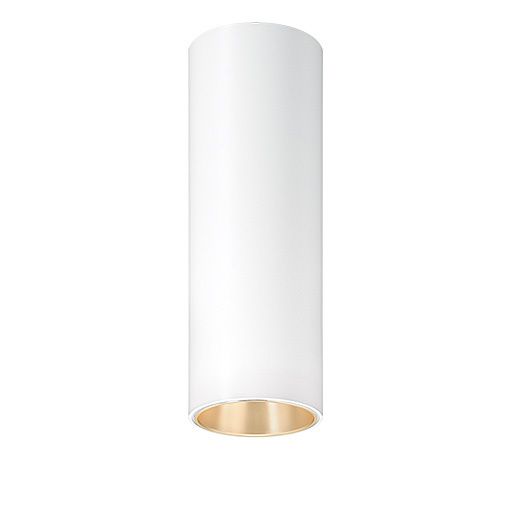 Zumtobel P-INF SC R100 LED1800-940 LDO GD WH LED Decken-Anbauleuchte 60818409