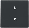 GIRA 8616005 Wippe Pfeile System 55 Schwarz matt (lackiert)