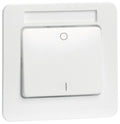 Peha D 81.642.02 NA Wippe 2pol reinweis Beschriftung-f. 00206011
