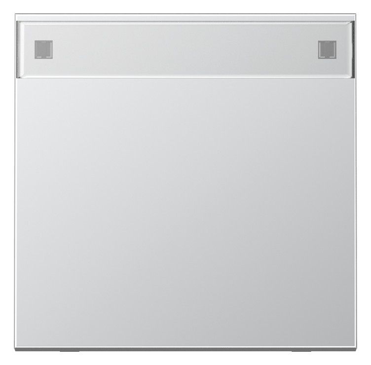 Jung AL2990NA Wippe Schriftfeld LS Aluminium