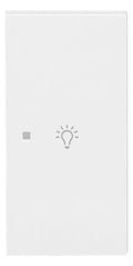 BJ 6231-22-44G Wippe 2-fach rechts m.Symbol "Licht"