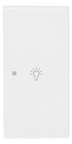 BJ 6231-22-44G Wippe 2-fach rechts m.Symbol "Licht"