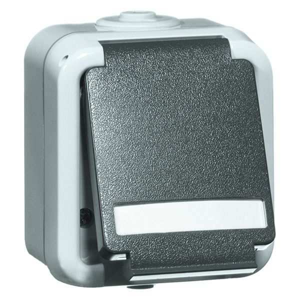 Peha D 6620 WAB NA Steckdose SCHUKO grau Beschrift.-f. 00307011