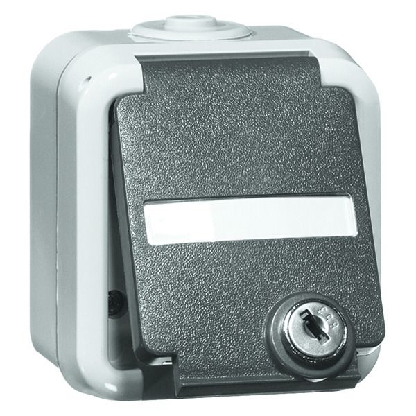 Peha D 6620 WAB NA VS Steckdose SCHUKO GY Beschrift.-f. abschliessbar 00306011