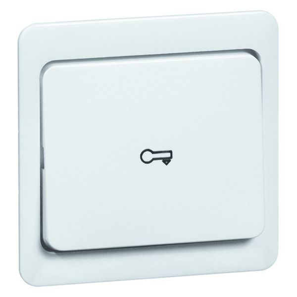 Peha D 80.640.02 T Wippe reinweis volle Abdeckplatte Symbol Tür 00164911