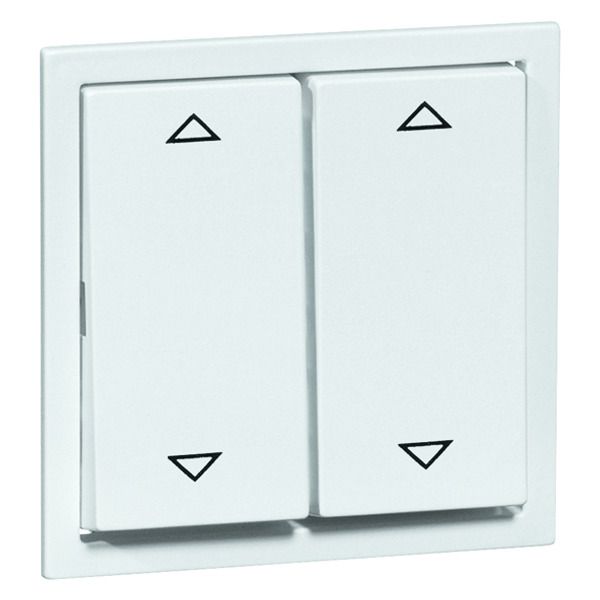 Peha D 20.244.022 T Wippe Gruppentaster reinweis Symbol Auf u. Ab 00025411