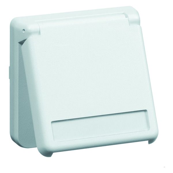 Peha D 6711.02 NA WE S Steckdose SCHUKO Einbau reinweis Beschrift.-f. 00636911