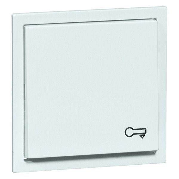 Peha D 20.540.022 T Wippe reinweis Symbol Tür 00023911