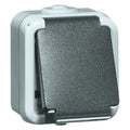 Peha D 6620 WAB SI Steckdose SCHUKO grau 00306411