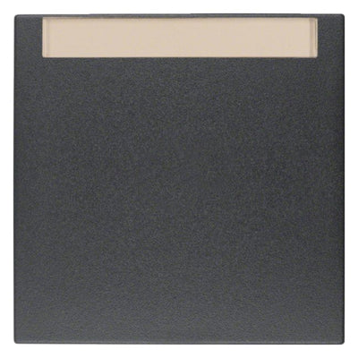 Berker 16261606 Wippe m.B-feld B.3/B.7 anthrazit matt
