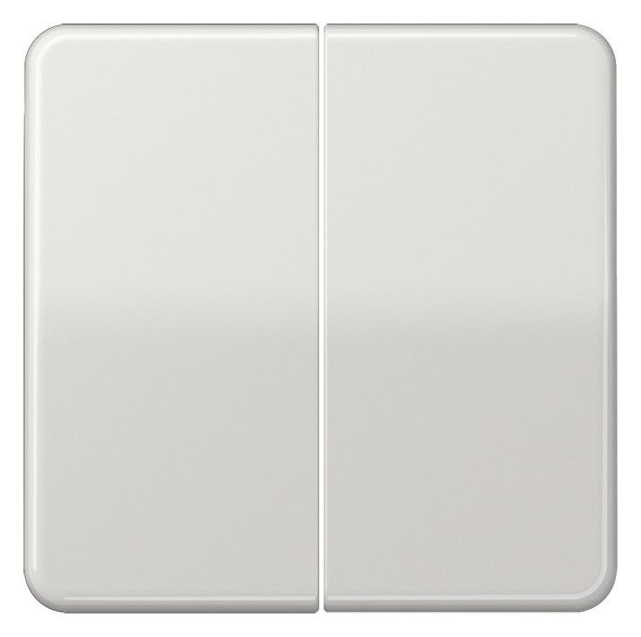 Jung CD595BFLG Wippe Serienschalter bruchsicher lichtgrau
