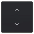 BJ 6735-11-885 Wippe 1-fach m.Symbol "Jalousie" Format 63