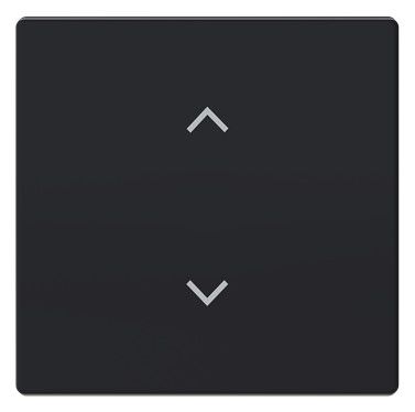 BJ 6735-11-885 Wippe 1-fach m.Symbol "Jalousie" Format 63