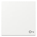GIRA 328703 Wippe Symbol Tür System 55 Reinweiß glänzend