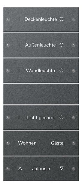 GIRA 220628 Wippenset 6fach (3+3) beschreib. System 55 Anthrazit (lack.)