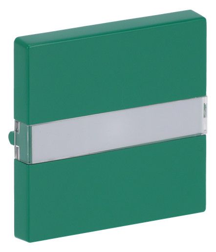 BJ 1764 NLI-13-82 Wippe gn RAL6032 future linear Abdeckung