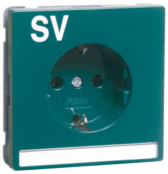 Peha D 95.6611.42 NA SV Steckdose SCHUKO grün Beschrift.-f. 00890311