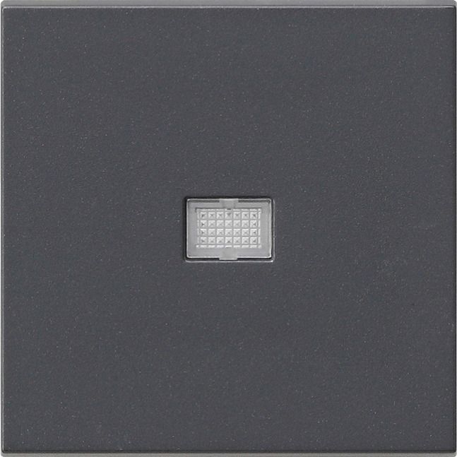 GIRA 029828 Wippe Kontrollfenster groß System 55 Anthrazit
