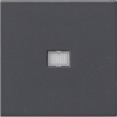 GIRA 029828 Wippe Kontrollfenster groß System 55 Anthrazit