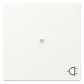 GIRA 329127 Wippe Kontrollfenster+Symbol Steckdose System 55 Reinweiß seidenmatt